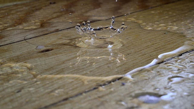 How Water Damage Restoration of Southfield Co. Delivers Fast, Full‑Service Disaster Recovery in Michigan