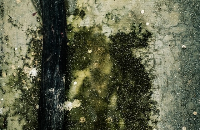 How Same‑Day Water Damage Repair Minimizes Structural Risk In Southfield Homes