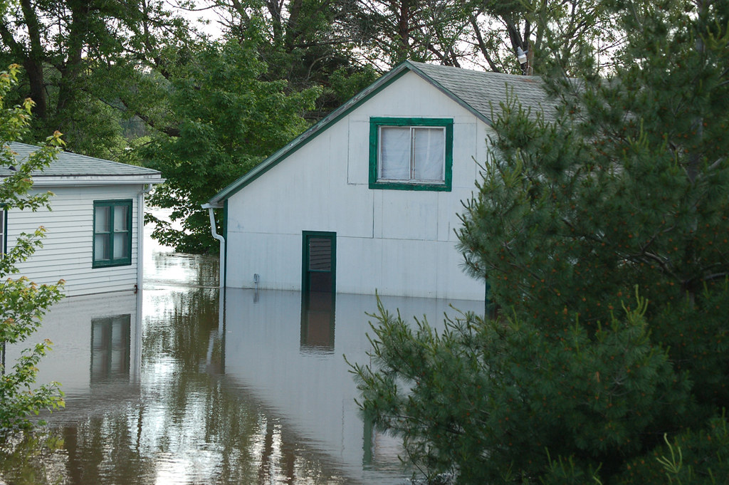 How Professional Water Damage Mitigation Prevents Structural Decay in Residential Properties